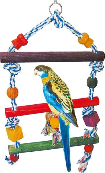 Giocattolo da arrampicata per uccelli